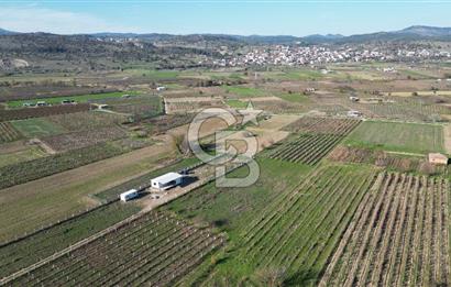 MANİSA YUNUSEMRE YAĞCILARDA 1.254 M² SATILIK TARLA