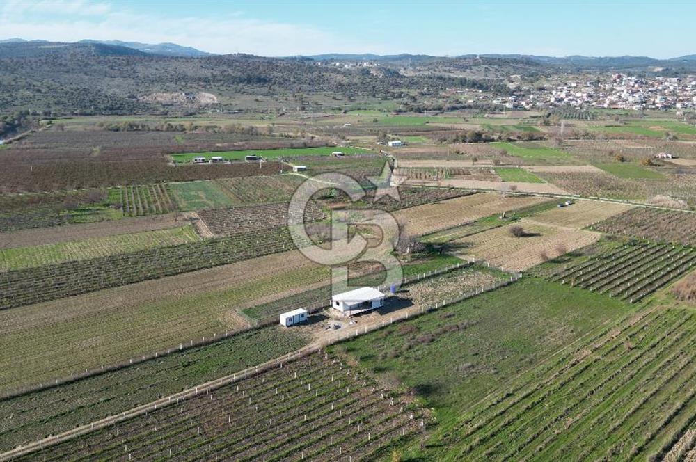 MANİSA YUNUSEMRE YAĞCILARDA 1.254 M² SATILIK TARLA