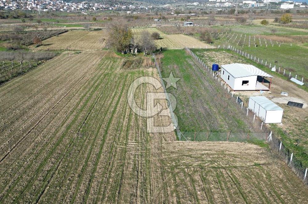 MANİSA YUNUSEMRE YAĞCILARDA 1.254 M² SATILIK TARLA