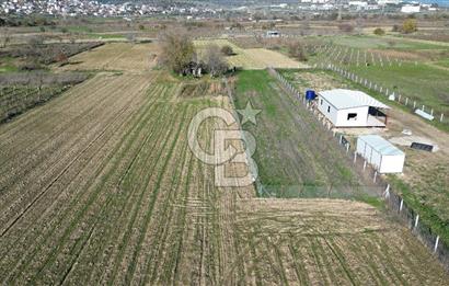 MANİSA YUNUSEMRE YAĞCILARDA 1.254 M² SATILIK TARLA