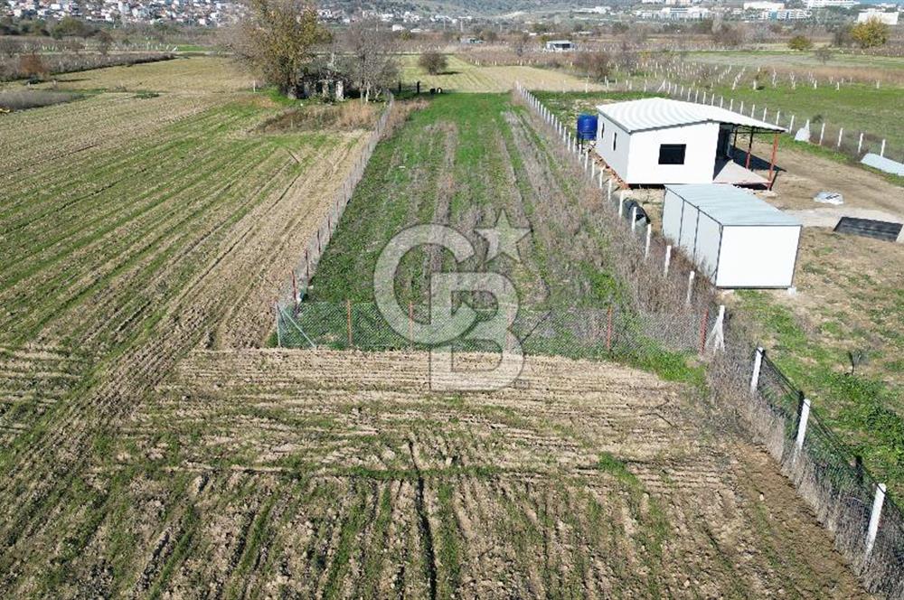 MANİSA YUNUSEMRE YAĞCILARDA 1.254 M² SATILIK TARLA