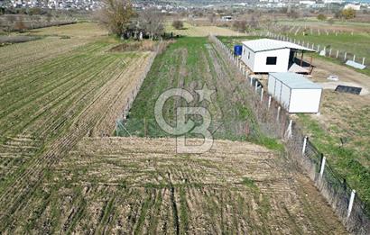 MANİSA YUNUSEMRE YAĞCILARDA 1.254 M² SATILIK TARLA