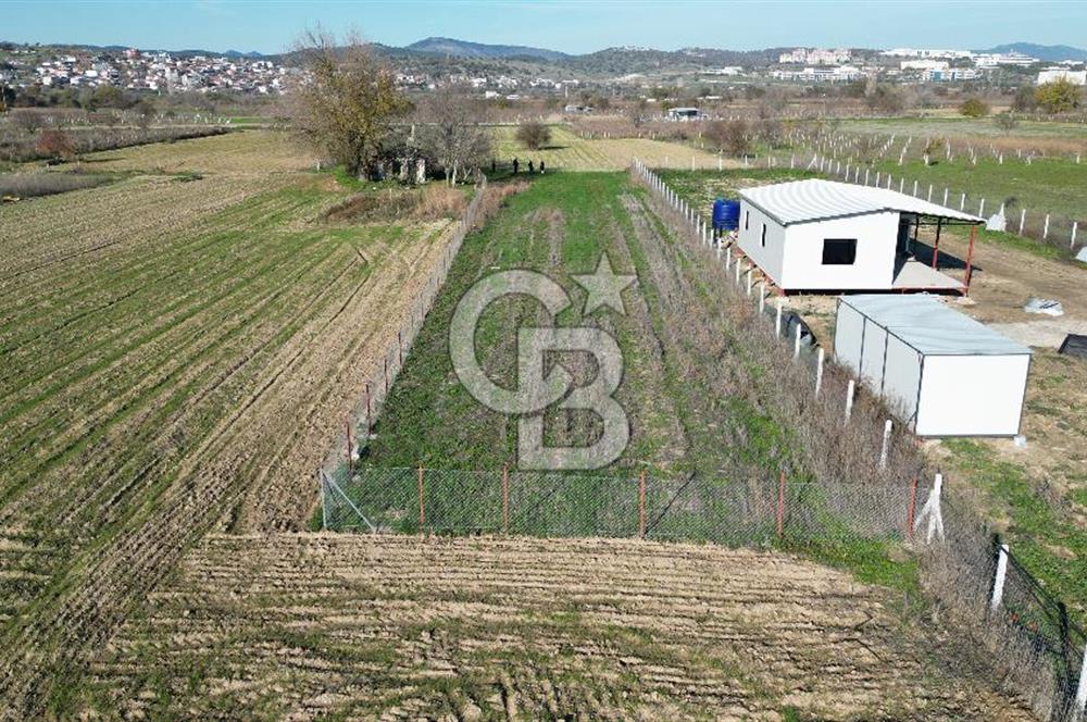 MANİSA YUNUSEMRE YAĞCILARDA 1.254 M² SATILIK TARLA