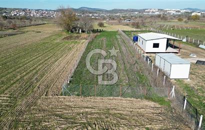 MANİSA YUNUSEMRE YAĞCILARDA 1.254 M² SATILIK TARLA