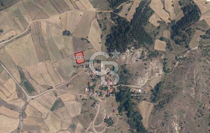 KASTAMONU İHSANGAZİ DAĞYOLU KÖYÜNDE 1642 M2 TARLA - YATIRIMLIK