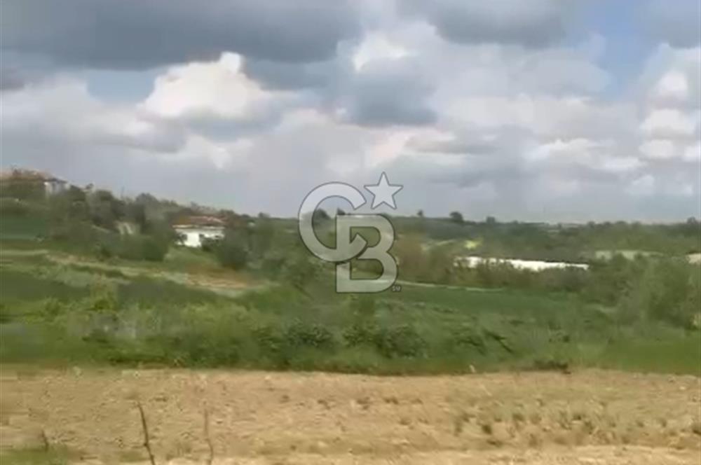 TEKİRDAĞ SÜLEYMANPAŞA SEMETLİ KÖYÜ SATILIK İMARLI ARSA