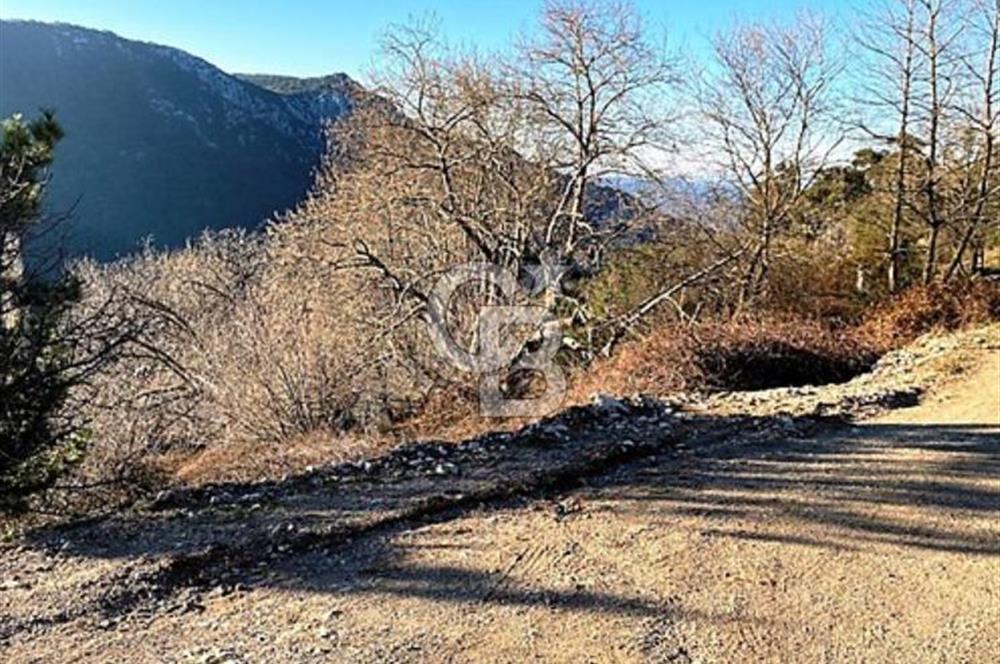 Manisa Gökçeler'de Köyiçi İmarlı İfraz Edilebilir Emsalsiz Arsa