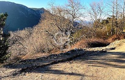 Manisa Gökçeler'de Köyiçi İmarlı İfraz Edilebilir Emsalsiz Arsa