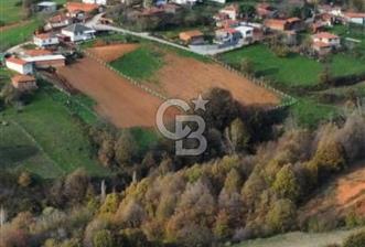 ÇANAKKALE BİGA'DA 14.000 m2 ARAZİ - 1 - 323833