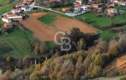 ÇANAKKALE BİGA'DA 14.000 m2 ARAZİ