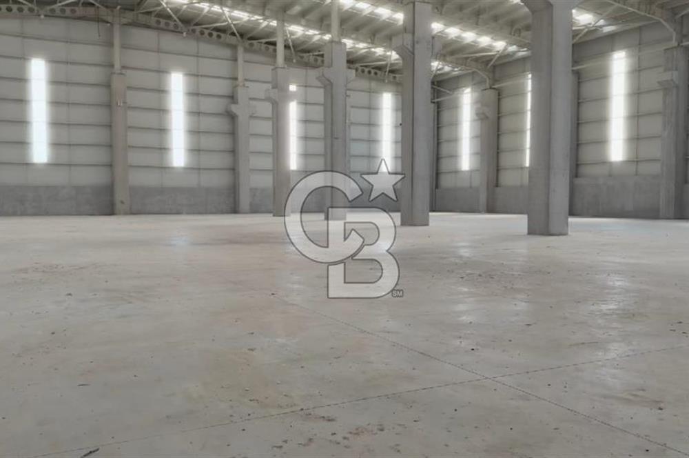 KOCAELİ KARTEPE'DE 8000 M2 KİRALIK FABRİKA & DEPO