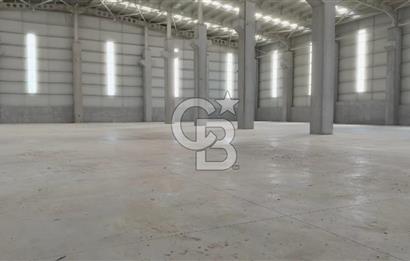 KOCAELİ KARTEPE'DE 8000 M2 KİRALIK FABRİKA & DEPO