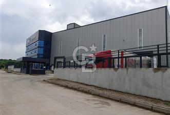 KOCAELİ KARTEPE'DE 8000 M2 KİRALIK FABRİKA & DEPO - 9 - 323835