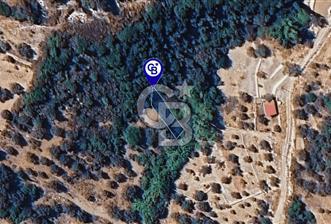 Karaburun Kösedere'de Müstakil Tapulu Bahçe - 7 - 323857