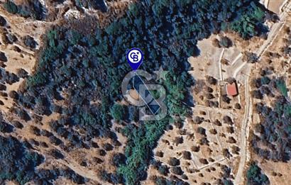 Karaburun Kösedere'de Müstakil Tapulu Bahçe