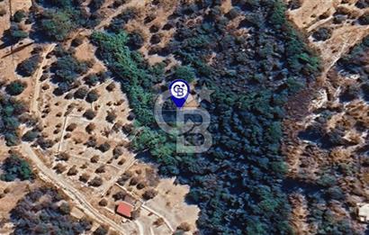 Karaburun Kösedere'de Müstakil Tapulu Bahçe