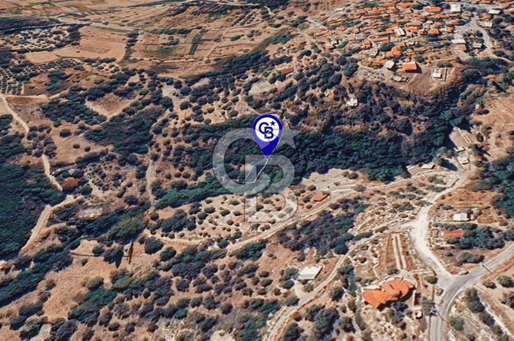 Karaburun Kösedere'de Müstakil Tapulu Bahçe