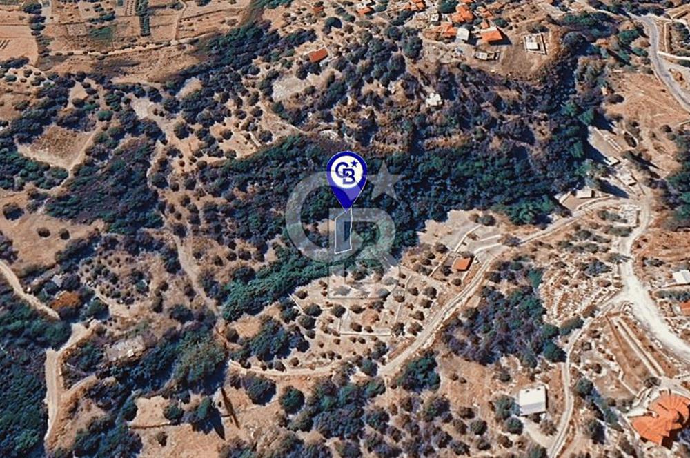 Karaburun Kösedere'de Müstakil Tapulu Bahçe