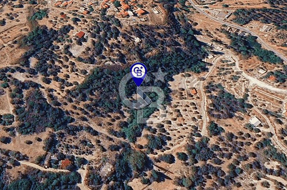 Karaburun Kösedere'de Müstakil Tapulu Bahçe