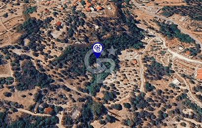 Karaburun Kösedere'de Müstakil Tapulu Bahçe