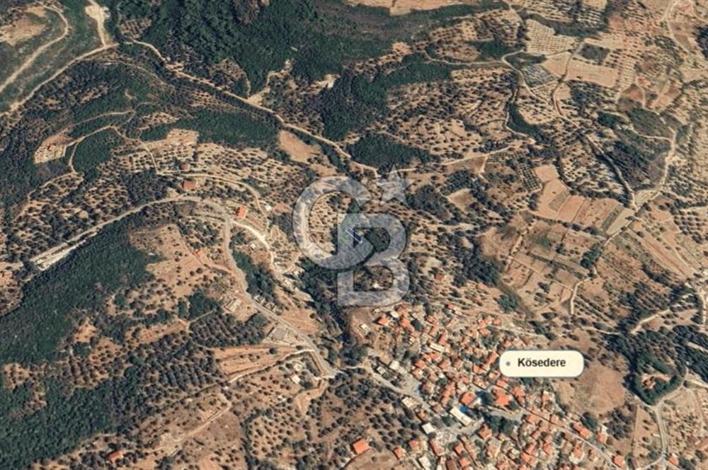 Karaburun Kösedere'de Müstakil Tapulu Bahçe