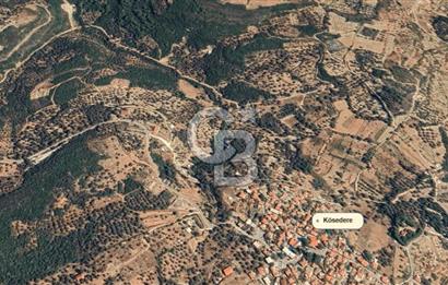 Karaburun Kösedere'de Müstakil Tapulu Bahçe