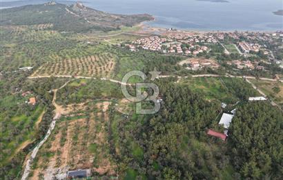 AYVALIK CUNDA ADASINDA DENİZ MANZARALI 3.577 M² ZEYTİNLİK