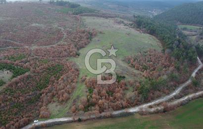 ÇANAKKALE ÇAN'DA 62.000 M2 ARAZİ