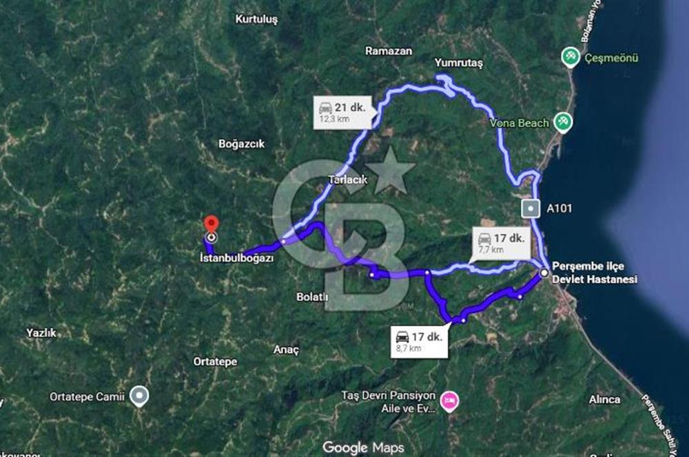 ORDU PERŞEMBE BOĞAZCIK KÖYÜNDE SATILIK VERİMLİ FINDIK BAHÇESİ