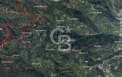 ORDU PERŞEMBE BOĞAZCIK KÖYÜNDE SATILIK VERİMLİ FINDIK BAHÇESİ