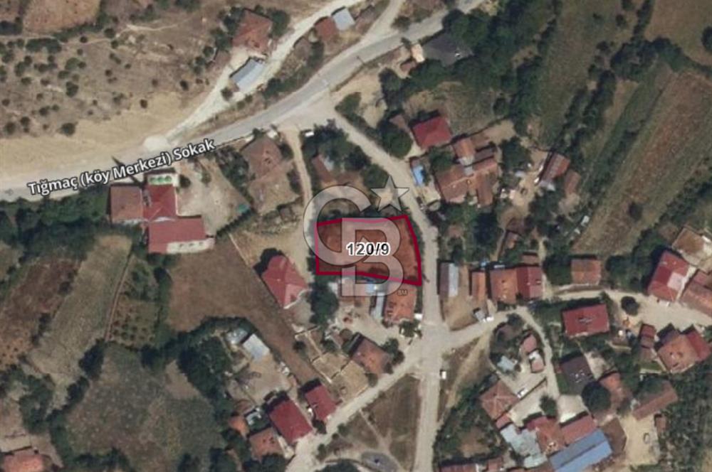 SAMSUN ASARCIK GÜNDOĞDU MAHALLESİ'NDE TEK TAPU BAHÇE