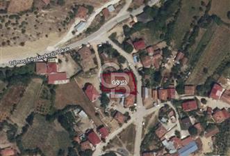 SAMSUN ASARCIK GÜNDOĞDU MAHALLESİ'NDE TEK TAPU BAHÇE - 3 - 323886