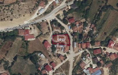 SAMSUN ASARCIK GÜNDOĞDU MAHALLESİ'NDE TEK TAPU BAHÇE