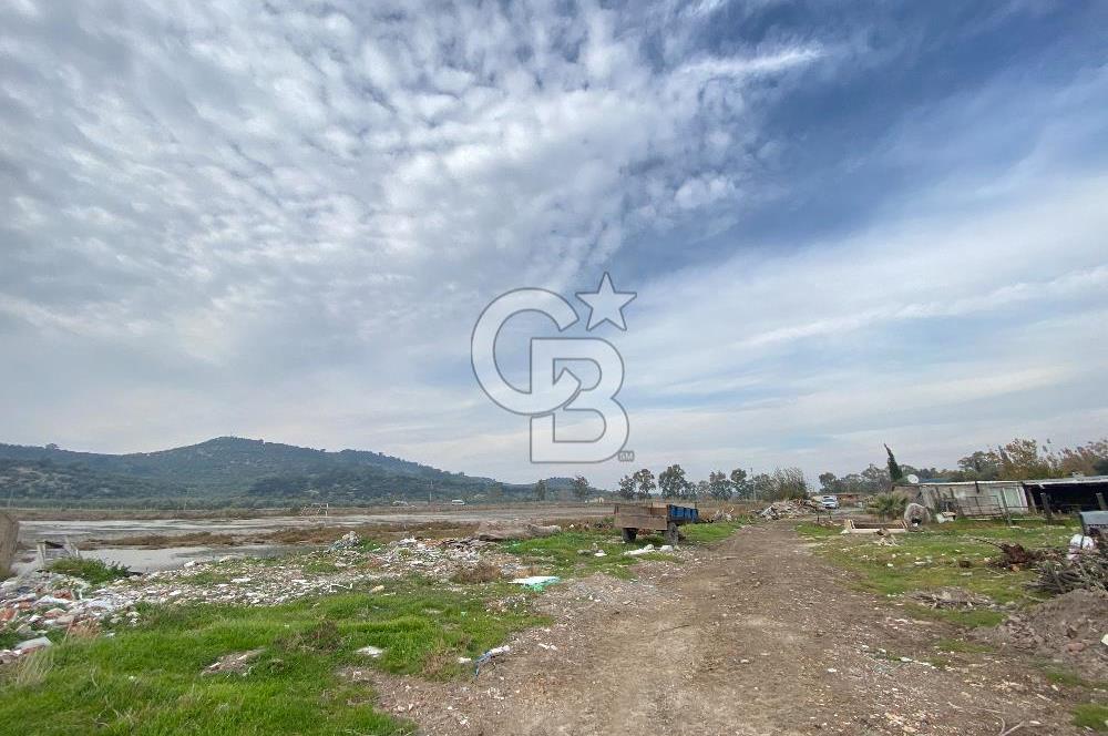 İZMİR DİKİLİ BADEMLİ'DE YATIRIMLIK SATILIK TARLA CB PH