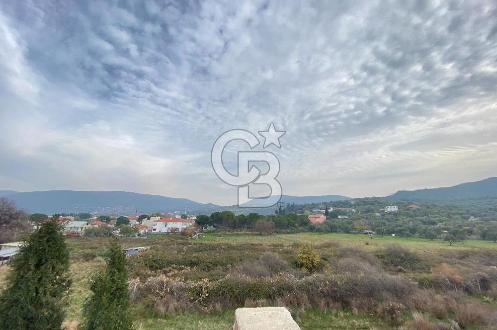 İZMİR DİKİLİ BADEMLİ'DE YATIRIMLIK SATILIK TARLA CB PH