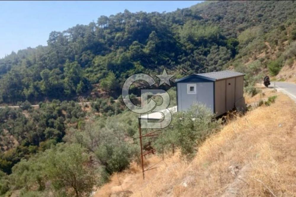 Bayındır Asfalt Yola Cepheli Satılık Prefabrik Ev Ve Arsası