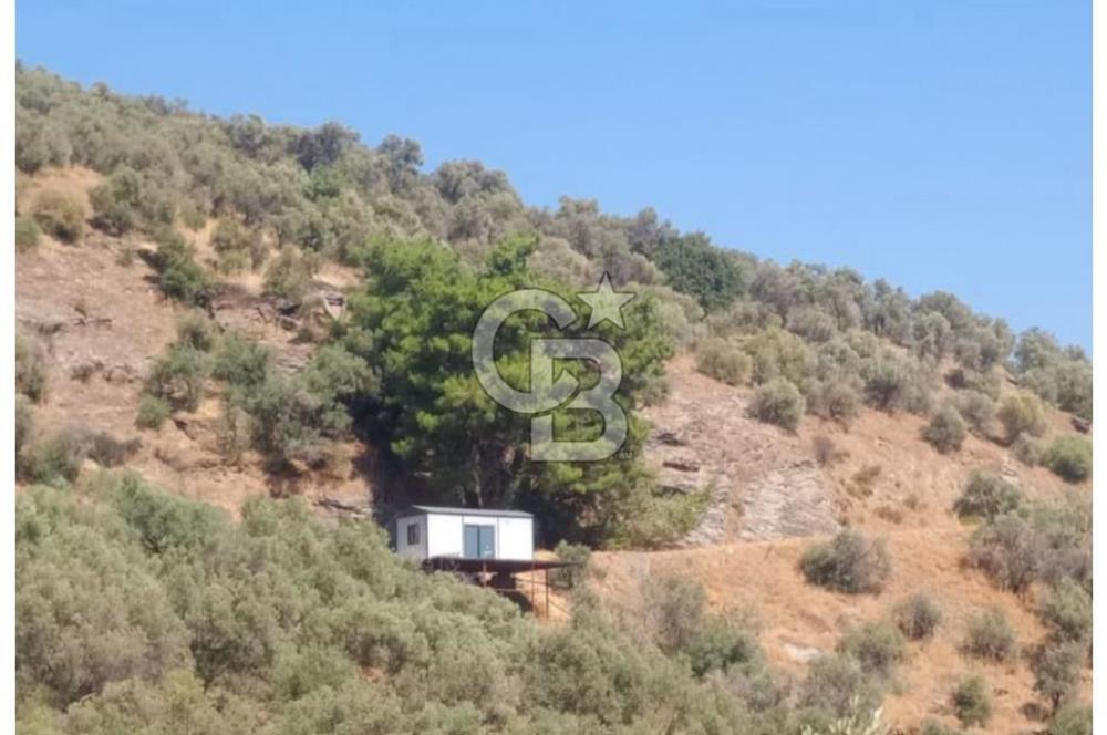 Bayındır Asfalt Yola Cepheli Satılık Prefabrik Ev Ve Arsası