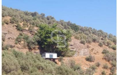 Bayındır Asfalt Yola Cepheli Satılık Prefabrik Ev Ve Arsası