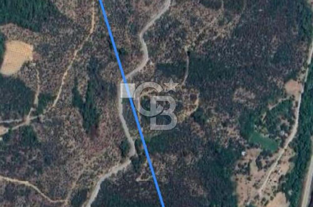 Bayındır Asfalt Yola Cepheli Satılık Prefabrik Ev Ve Arsası