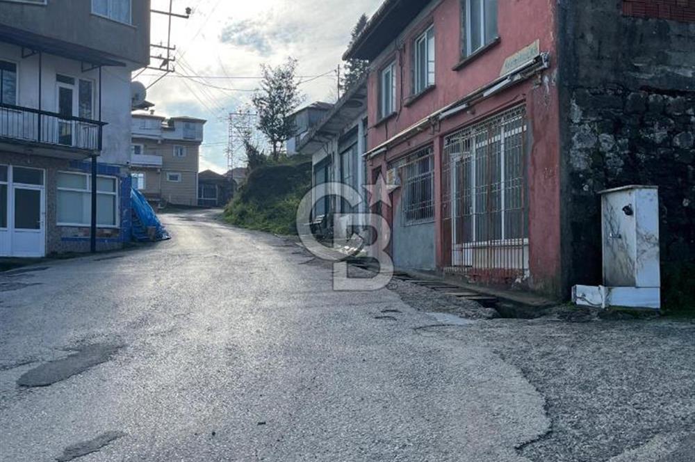 ORDU PERŞEMBE BOĞAZCIK KÖYÜNDE SATILIK VERİMLİ FINDIK BAHÇESİ
