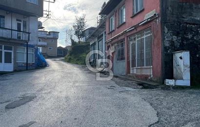 ORDU PERŞEMBE BOĞAZCIK KÖYÜNDE SATILIK VERİMLİ FINDIK BAHÇESİ