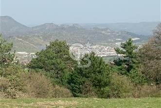 BALIKESİR DURSUNBEY'DE İLÇE MERKEZİNE YAKIN 8358 M2 ARAZİ - 7 - 323922