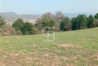 BALIKESİR DURSUNBEY'DE İLÇE MERKEZİNE YAKIN 8650 M2 ARAZİ - 5 - 323924