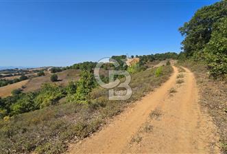 ÇANAKKALE BİGA'DA 22.300 m2 ARAZİ - 4 - 323925