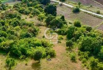 BALIKESİR DURSUNBEY'DE 42.377 M2 ARAZİ - 3 - 323926