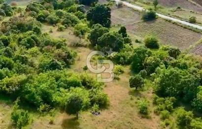 BALIKESİR DURSUNBEY'DE 42.377 M2 ARAZİ
