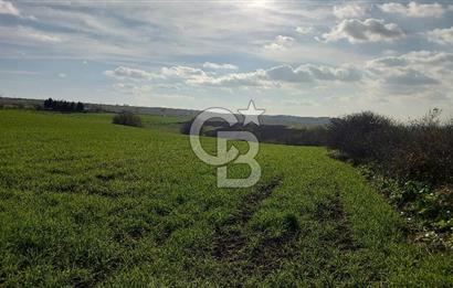 Tekirdağ Çorlu Türkgücü  Mahallesinde Satılık 7000 M2 Tarla 