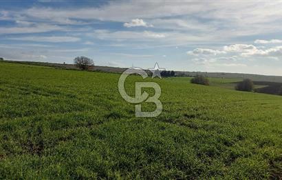 Tekirdağ Çorlu Türkgücü  Mahallesinde Satılık 7000 M2 Tarla 