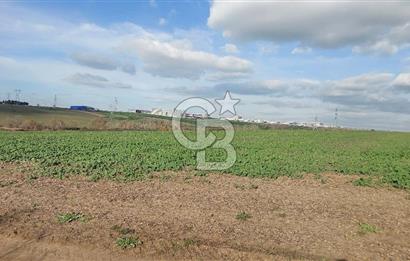 Tekirdağ Çorlu Türkgücü  Mahallesinde Satılık 7000 M2 Tarla 