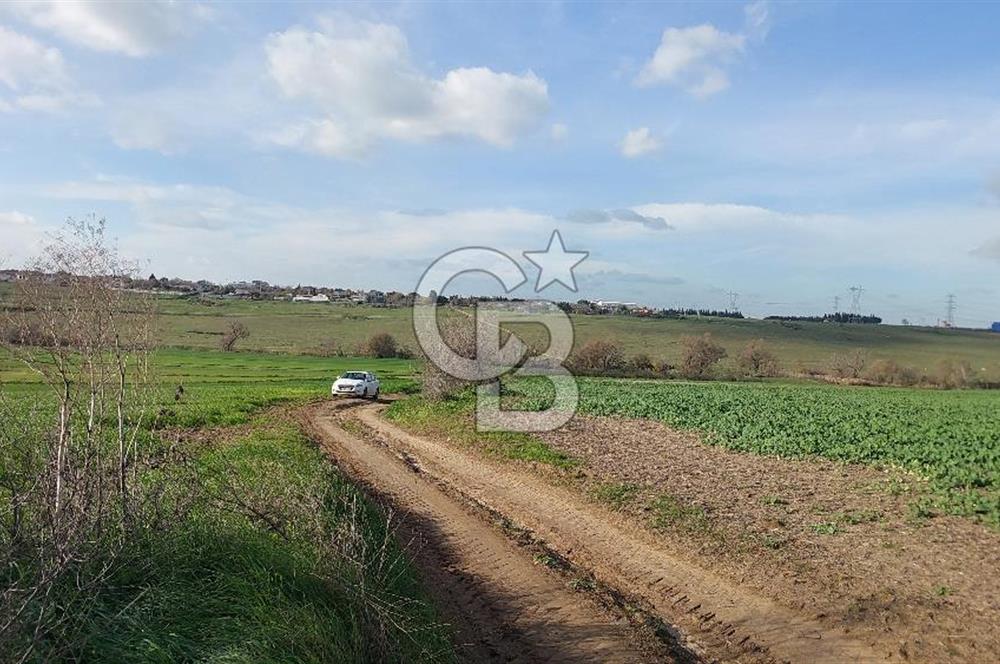 Tekirdağ Çorlu Türkgücü  Mahallesinde Satılık 7000 M2 Tarla 